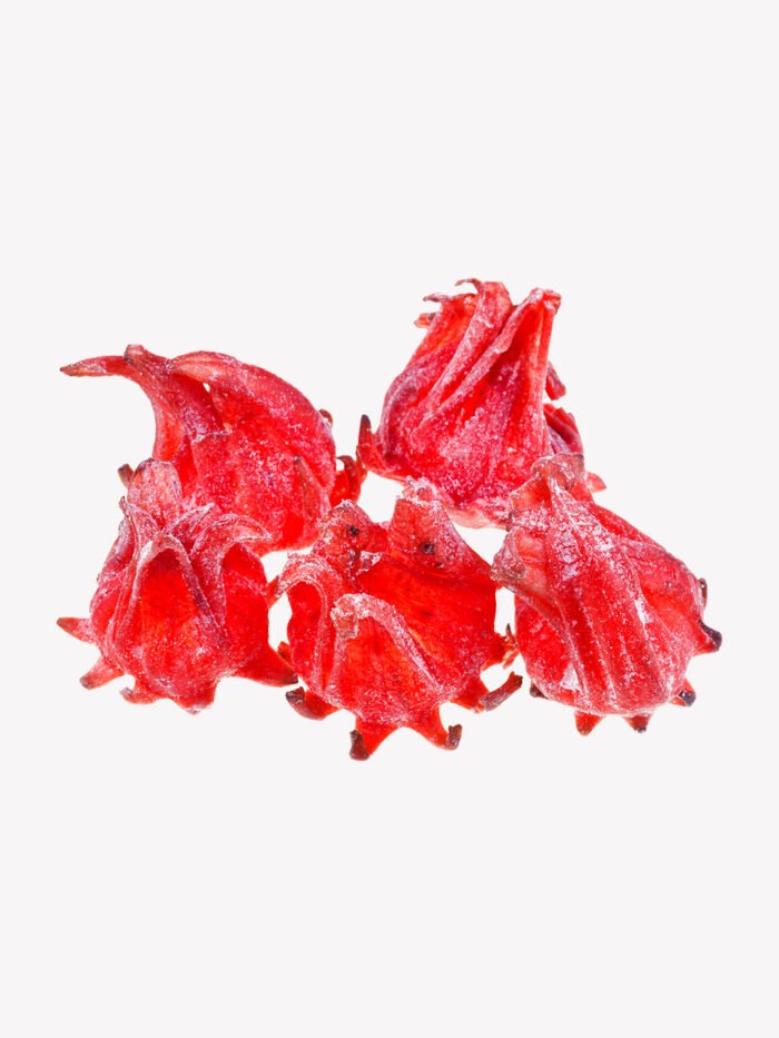 Hibiscus Hibiscus