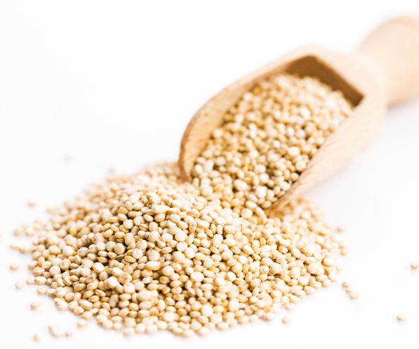 NUTCRACKER_QUINOA_WHITE