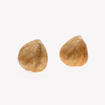 Roasted Hazelnut