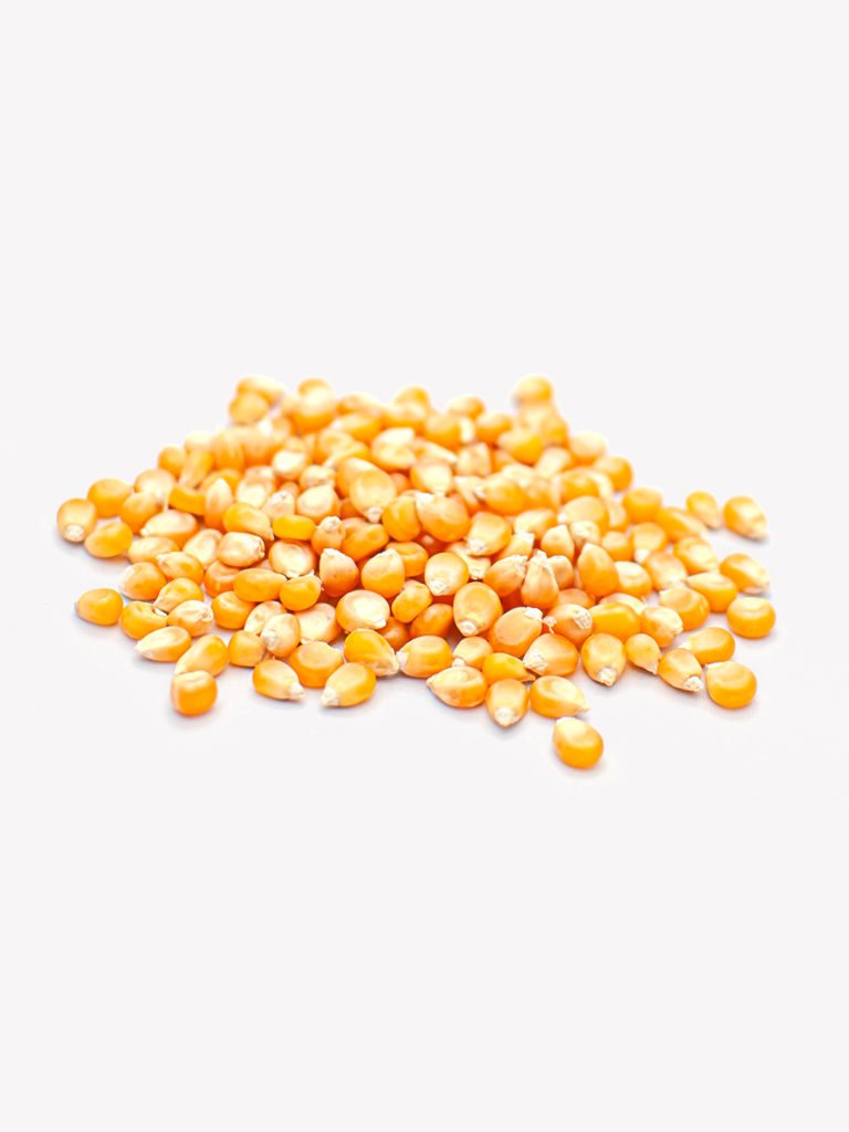 corn