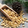 Pine Nuts Use