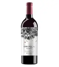 Ventisquero Obliqua Carménère – High End – 75cl
